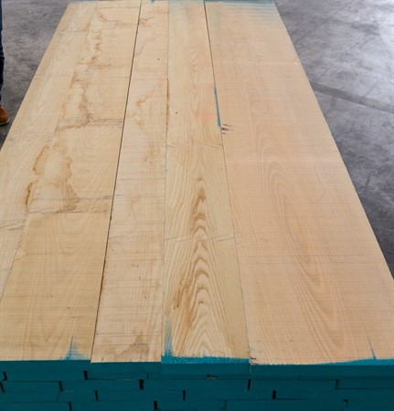 Massivträ Ask Europeisk ljus